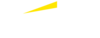 Ernst Young