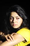 graphics1