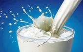 High milk intake tied to increased mortality risk