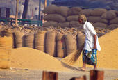 WTO impasse broken as India, US reach food security deal