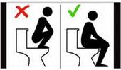 Swiss railways tell foreigners to sit, not squat on toilets...
