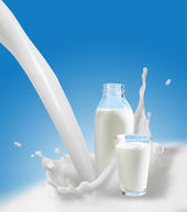 How Good Is Milk for Us?...