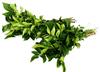 green-curry-leaves-754043