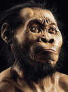 Homo-Naledi-skeleton-main