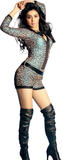 hot-shriya-saran-pictures_2187