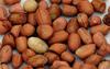 peanuts_1567923b