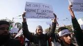 UKIP locks horns with 'Charlie Hebdo' protestors...