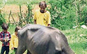 Man of the series turned farm hand- Bhalaji Damor...