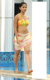 anushka0026