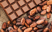 Cocoa-rich diets may improve memory...