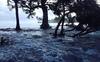 flood