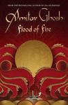 1434aabd020f5630ac15256225601233-flood-of-fire-hb