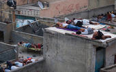 Heat wave kills 2,330 people in India...