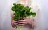 A_vegetable_weddin_3487569b