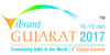 Vibrant 2017