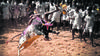 Despite SC ban, jallikattu bulls released at Alanganallur