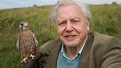 Happy 90th birthday to Sir David, the Goliath of broadcasting...