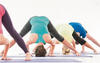 triyoga-yoga