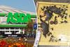 An Asda delivery depot was littered with dead mice and flies
