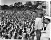 Gandhiji mobilising people to join the freedom struggle
