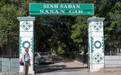 ગીર અભ્યારણ્યમાં બાંધકામ માટ