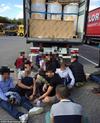 A group of 17 suspected illegal immigrants