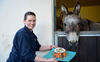 donkey_3286672b