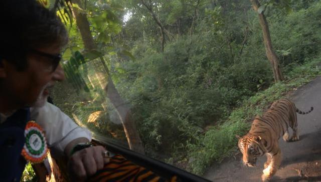 amitabh-bachchan with tiger