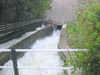 shetrunjay dam