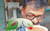 ચાનો બંધાણી પોપટ...