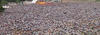 patidar meeting 25-8-2015