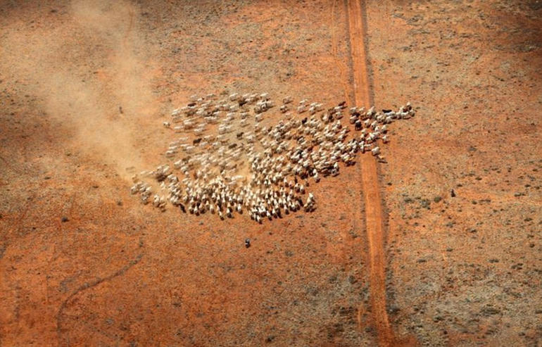 south australia big land for sale