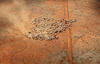 south australia big land for sale