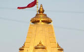 અંબાજીમાં બ્રિટિશ પાટીદારે ર