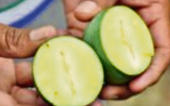 ગોટલી વગરની કેરીનો સ્વાદ સારો...