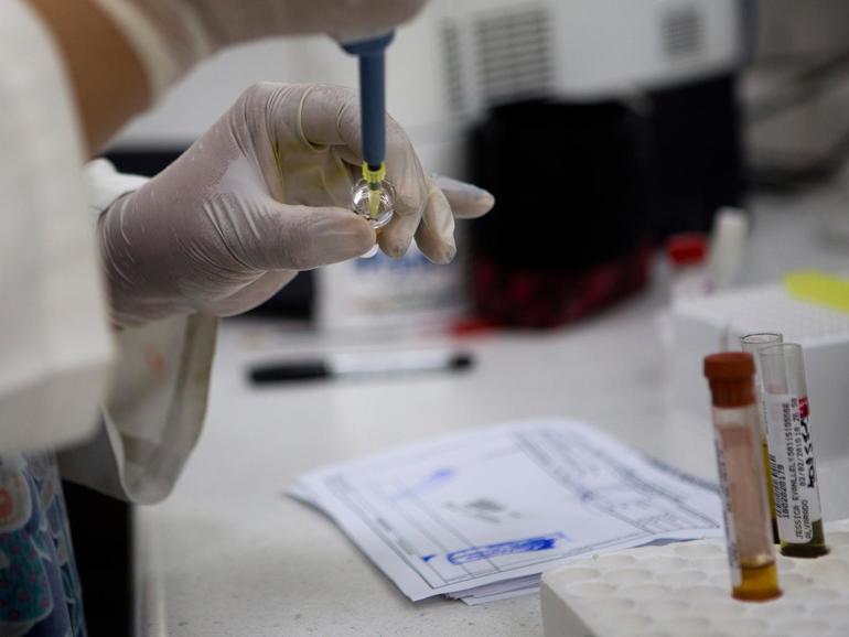 zika-virus-blood-sample-ap