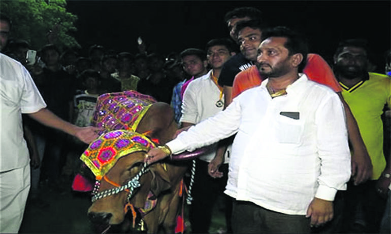 Baroda Cricket 4