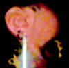 shreya2