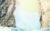 સામખિયાળીના ખેતરમાં માત્ર ૧૧ 