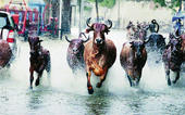 સૌરાષ્ટ્રમાં સારો રહેશે વરસા