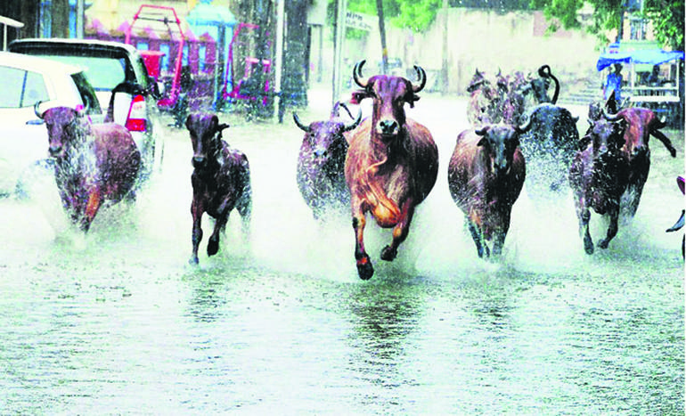 saurashtra rain
