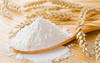 Refined wheat flour