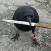 vancouver police were going to fly back to crow knife