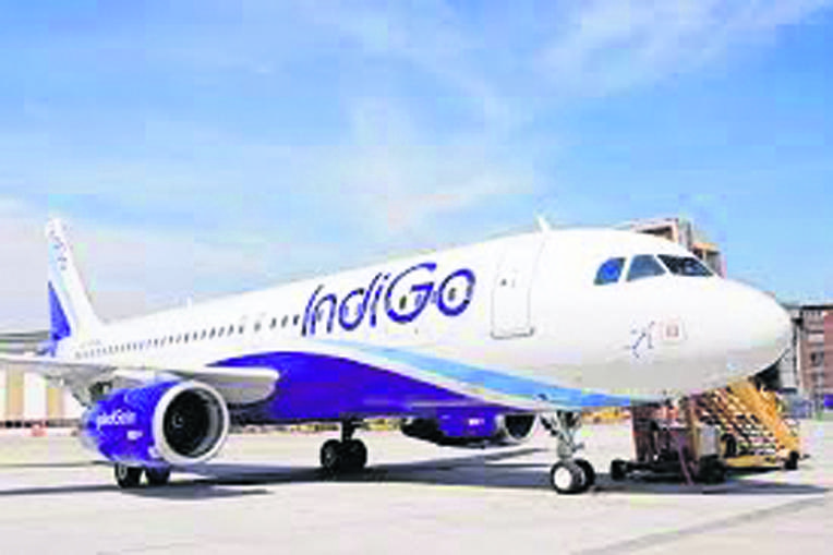 indigo
