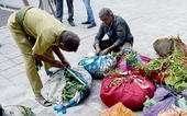 વાસી શાકભાજી - એંઠવાડમાંથી ખાત...