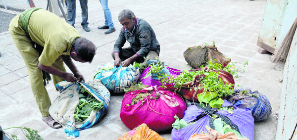 shak market