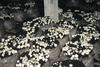 Button-Mushroom-Composting