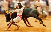 તમિળનાડુમાં દ્રવિડ પક્ષોના શ