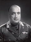 hari singh