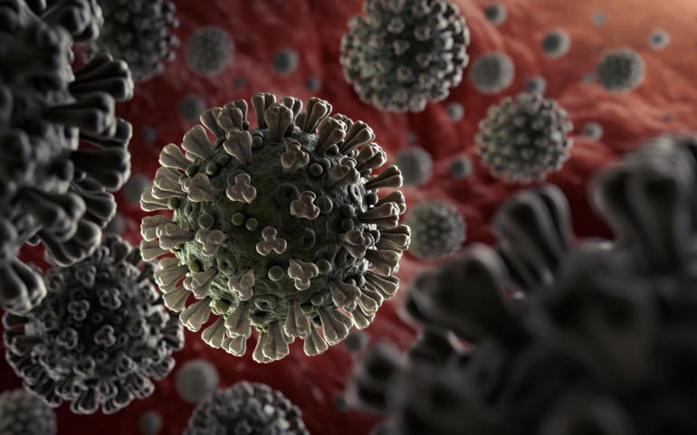 સ્વાદ અને ગંધનો અભાવ પણ કોરોનાના લક્ષણ હોઈ શકે! સ્વાદ અને ગંધનો અભાવ પણ કોરોનાના લક્ષણ હોઈ શકે!
